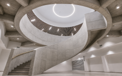 Collegium Orthopaedicum